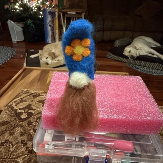 Patty’s little gnomie