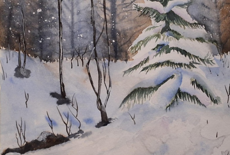 Snowy pine tree