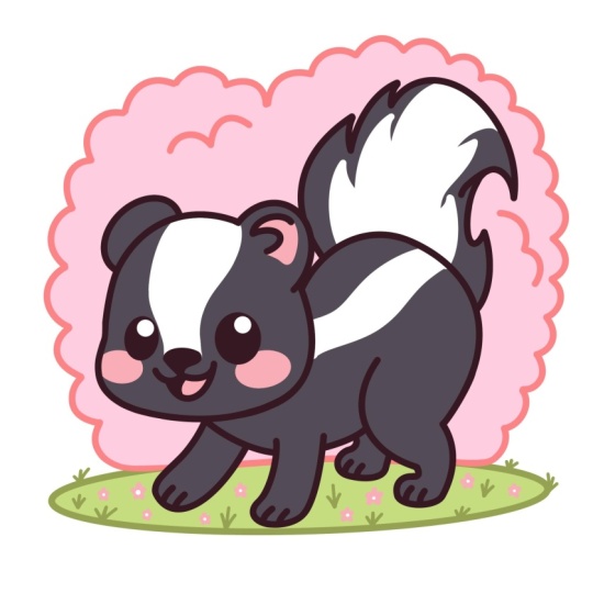 Cute skunk