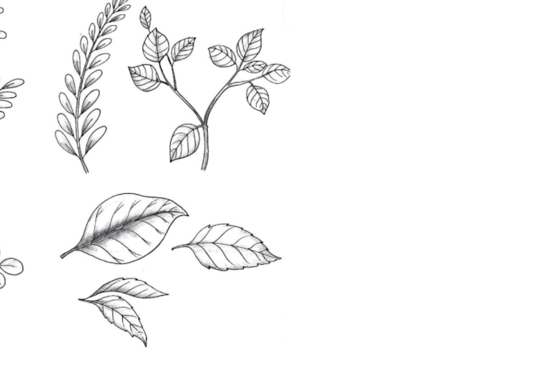 Hand Drawn Project