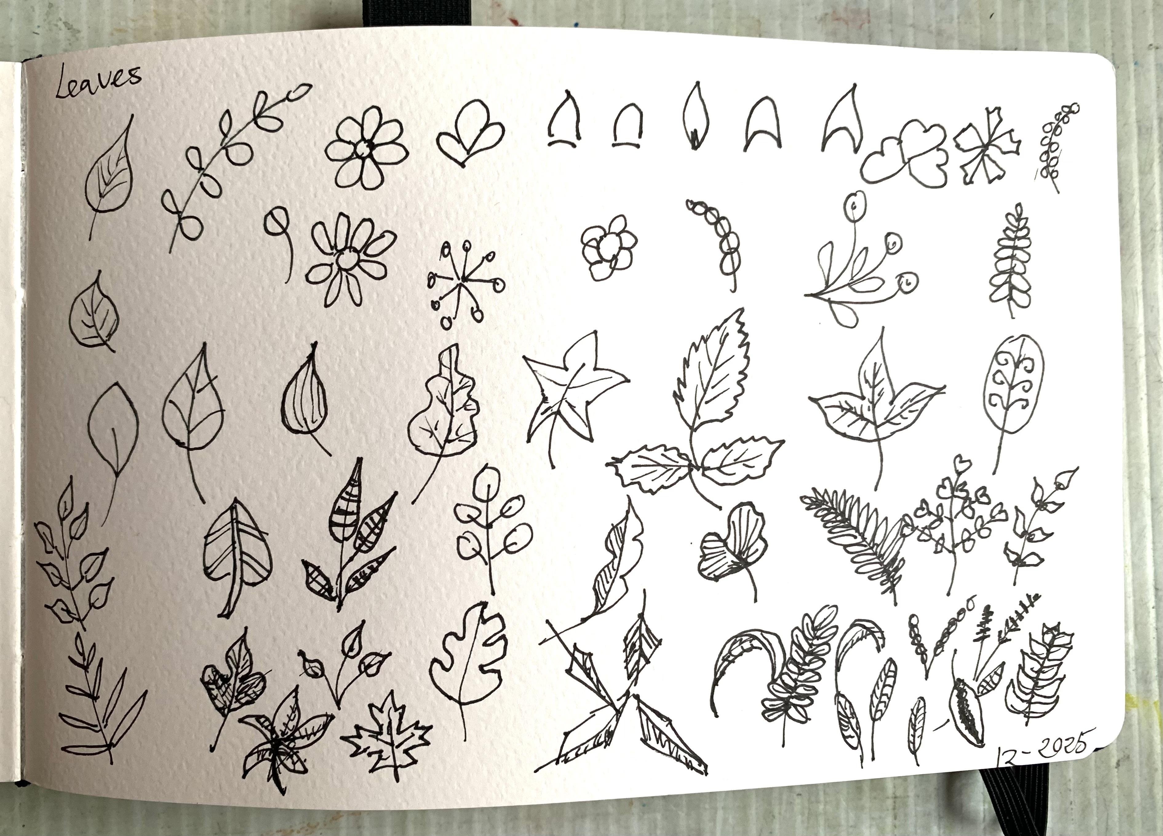 more-projects-from-class-img