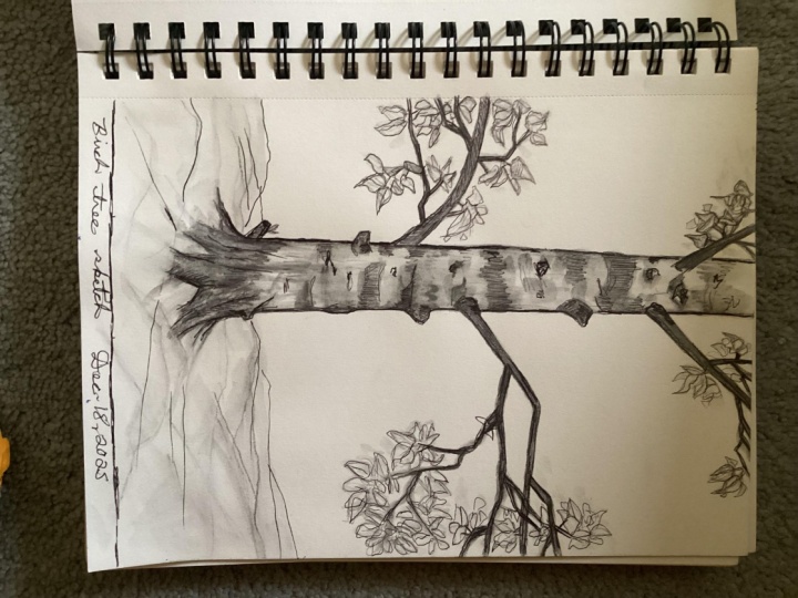 Sketches