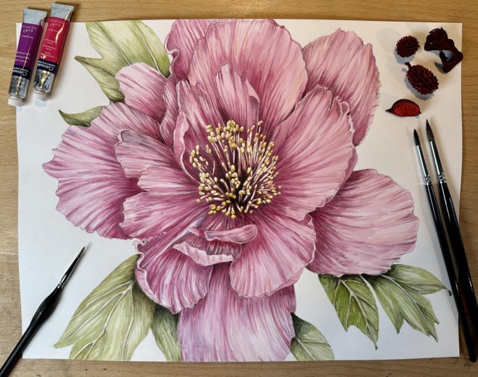 Watercolour Peony Flower