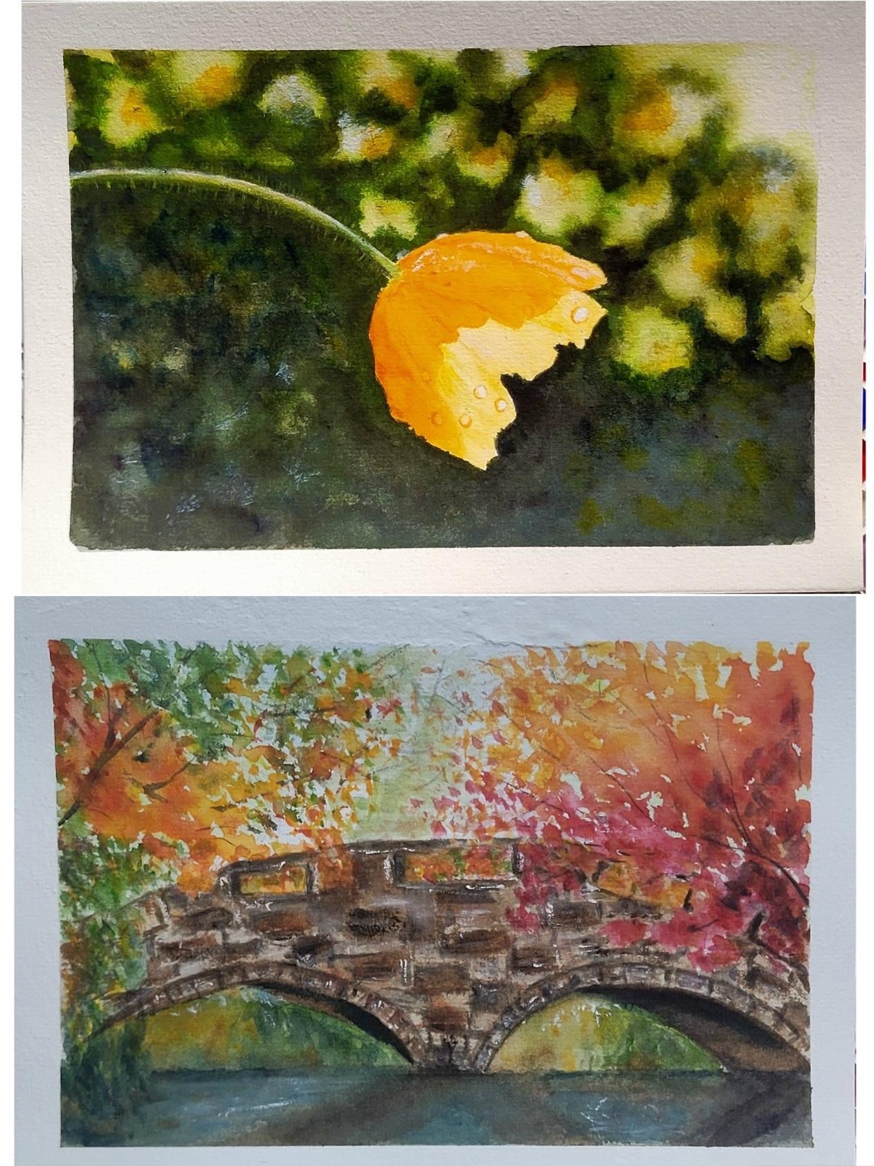 more-projects-from-class-img