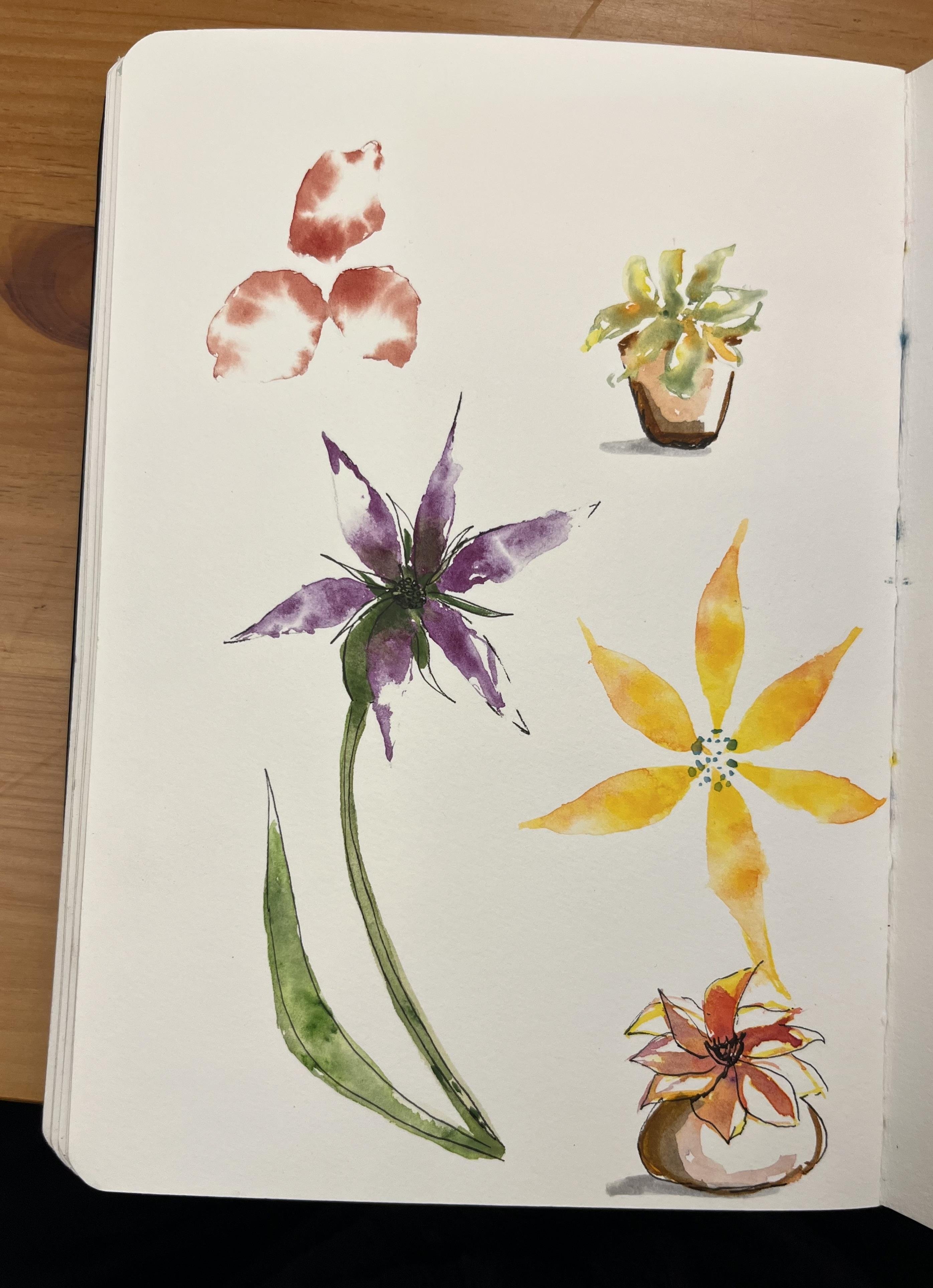 more-projects-from-class-img