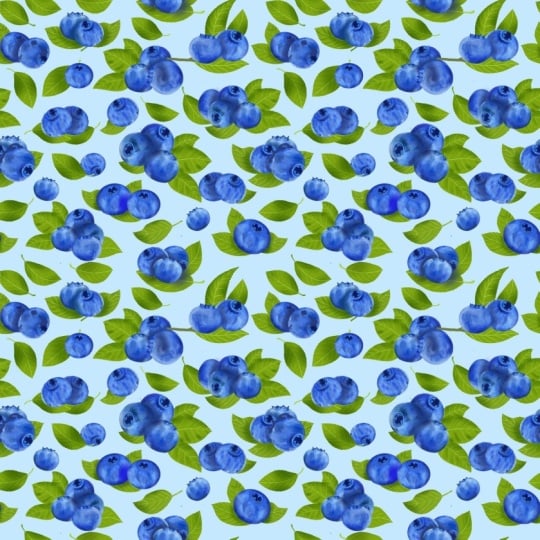 Flowers, leaves and berries in a picture bank