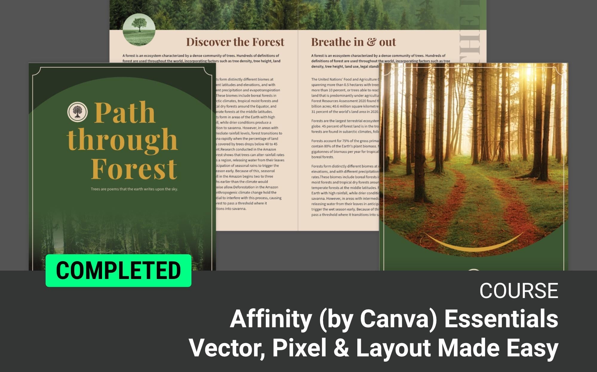 Affinity (by Canva) Essentials – Vector, Pixel & Layout Made Easy