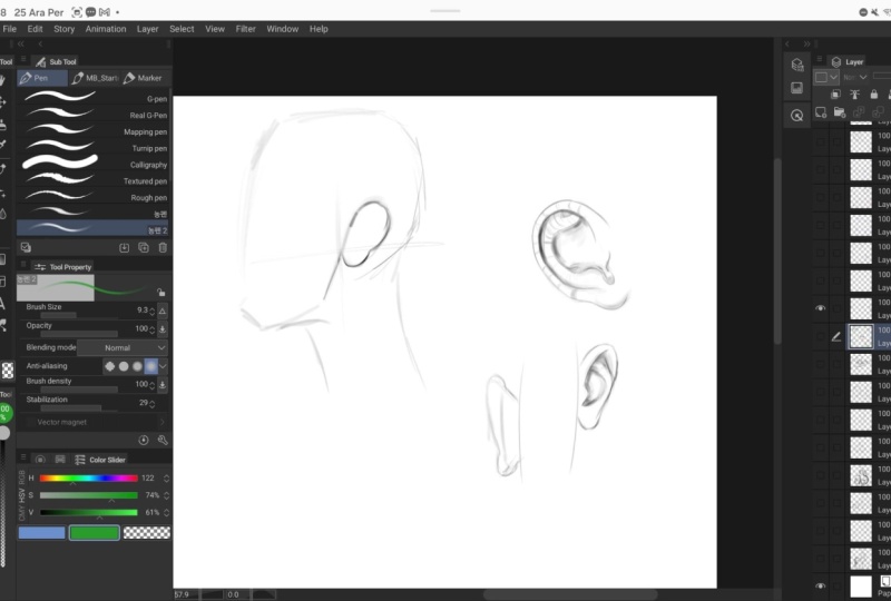 Facial Features Exercise