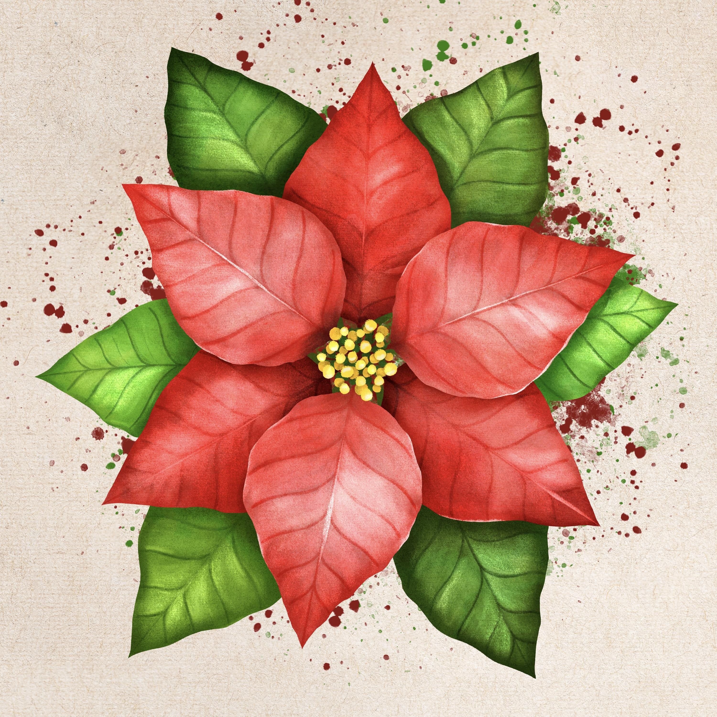 more-projects-from-class-img