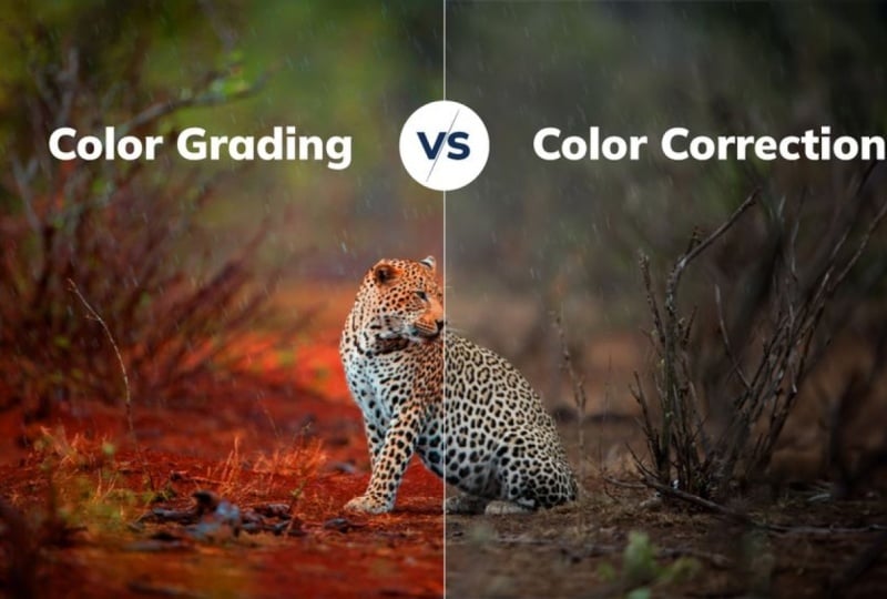 Color Grading