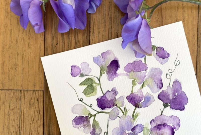 Watercolour sweet pea
