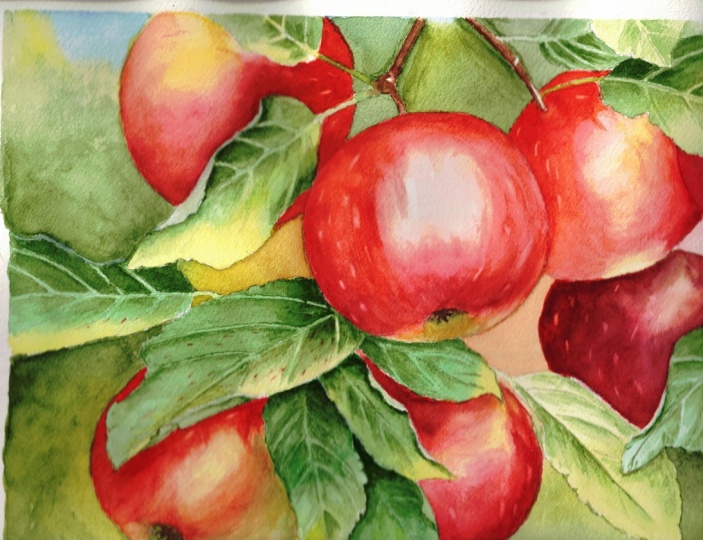 Here is the juicy apples