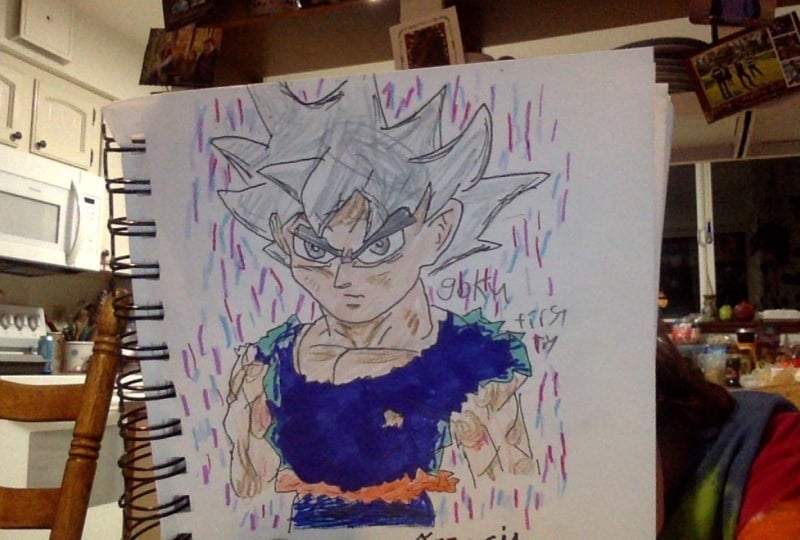 ultra instinct goku