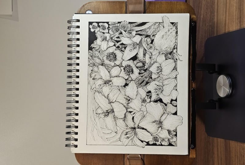 Learning draw Lily garden