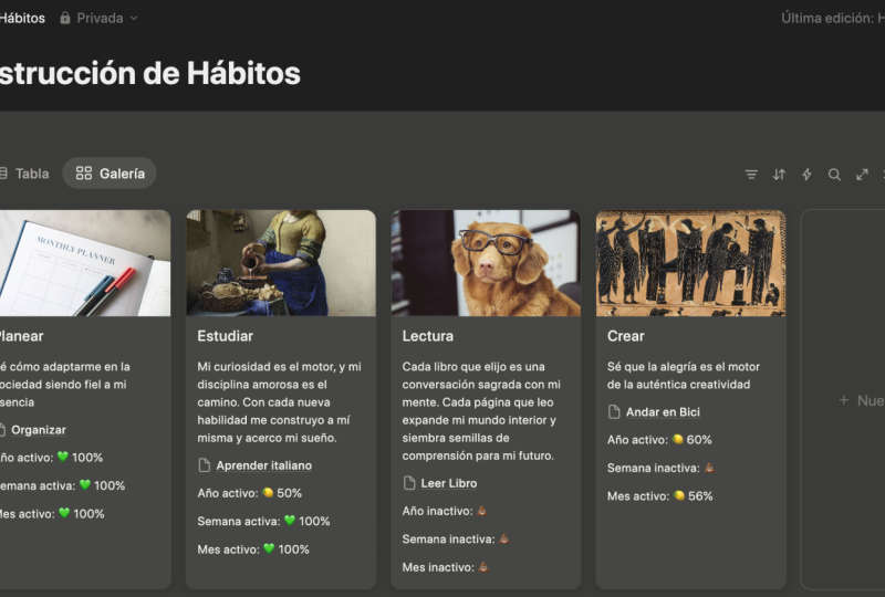 Ficha de Hábitos en Notion