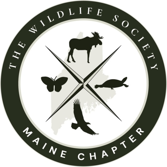 Seal Logo Project