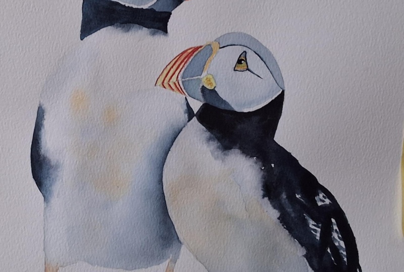 Puffin pair