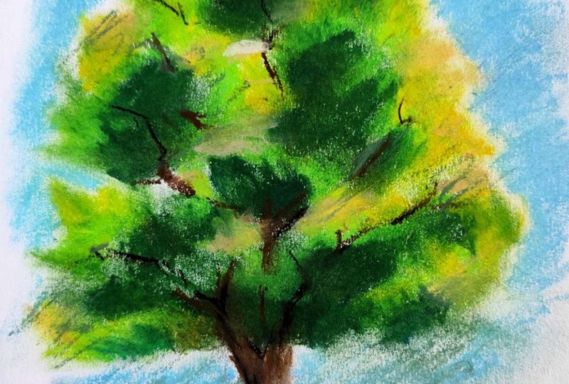 A tree in oil pastel