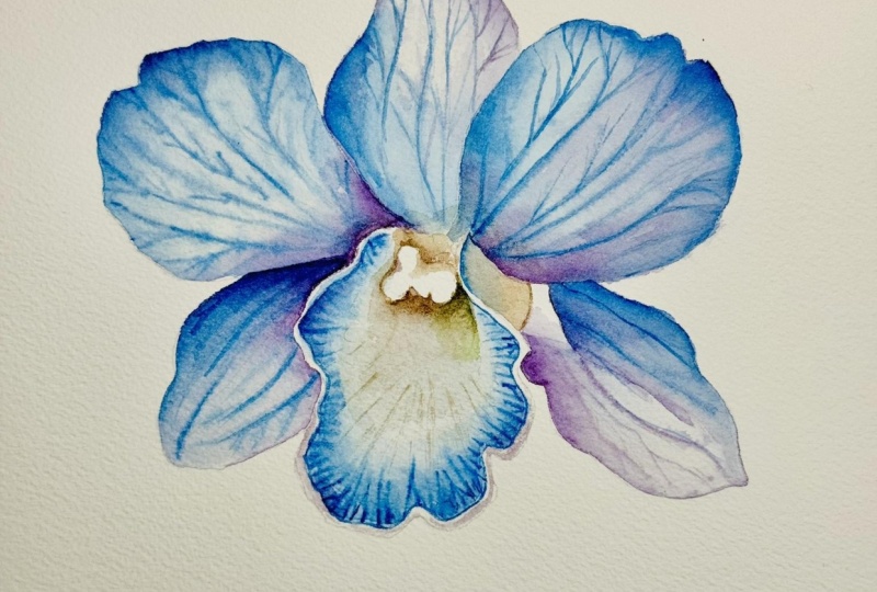 3 Orchids