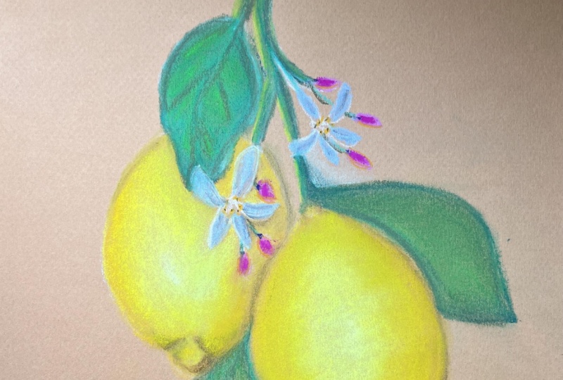 2nd ever Pastel project