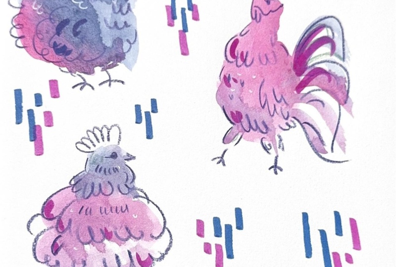 chickens