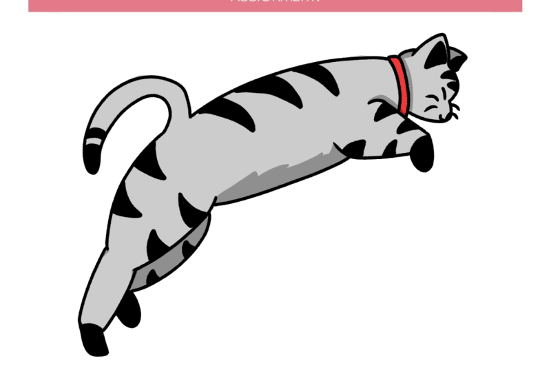 Jumping Cat :3