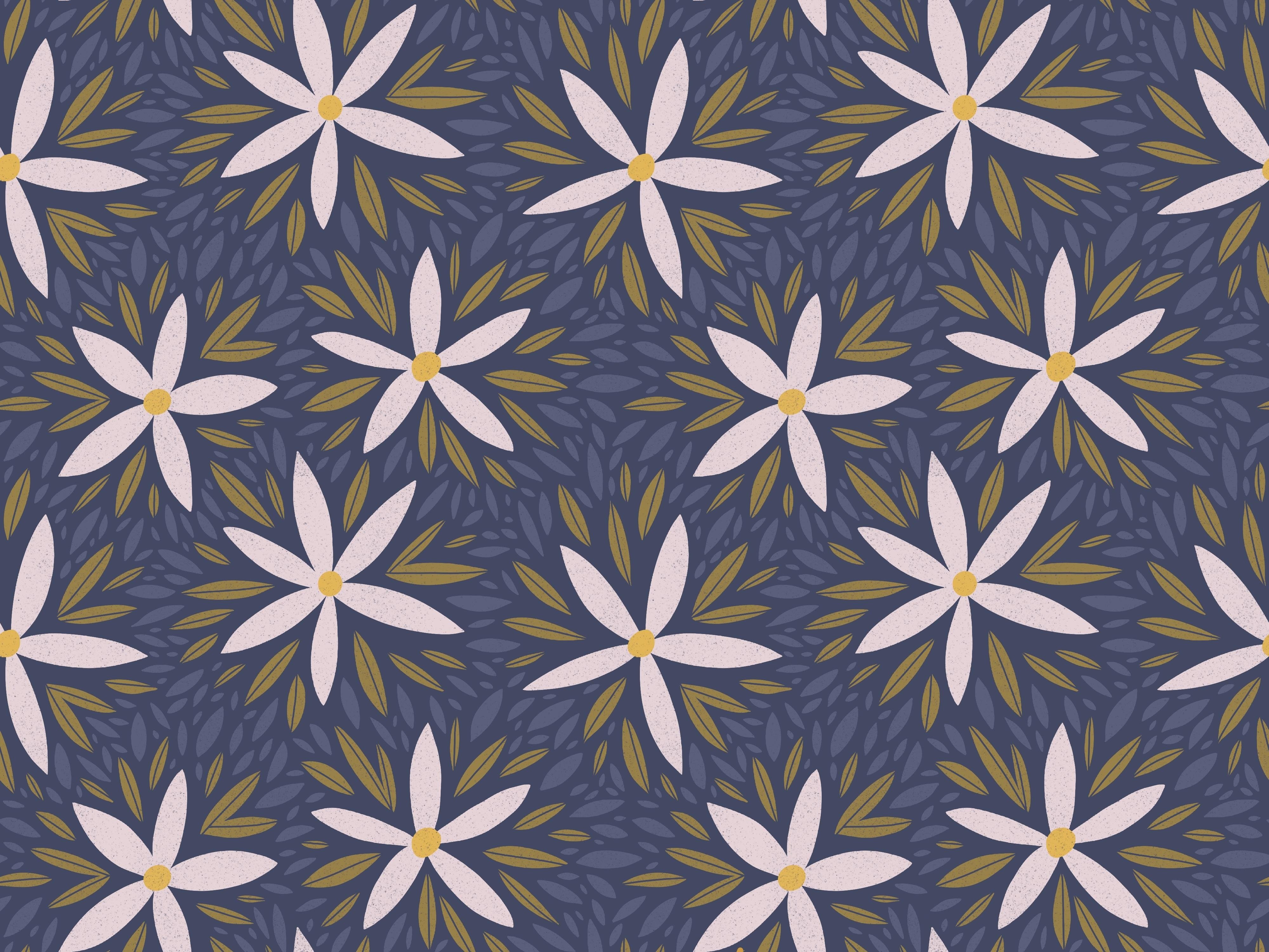 more-projects-from-class-img