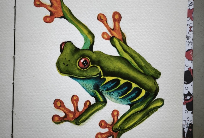 Watercolor Tree Frog