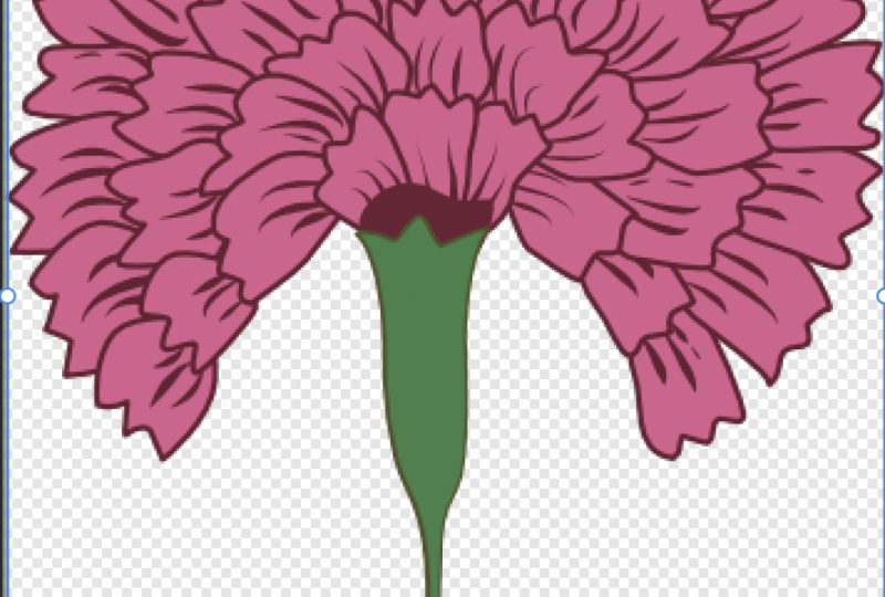 Drawing a Stylized Carnation class