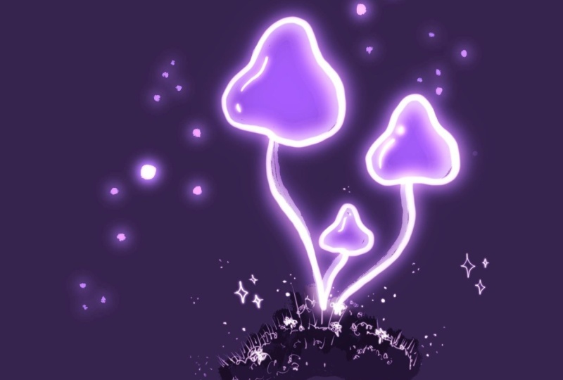 Glowing Bioluminescence Mushrooms