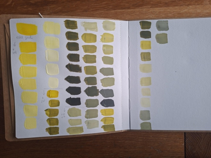 My color study inspired by this class and your other one on colors and patterns