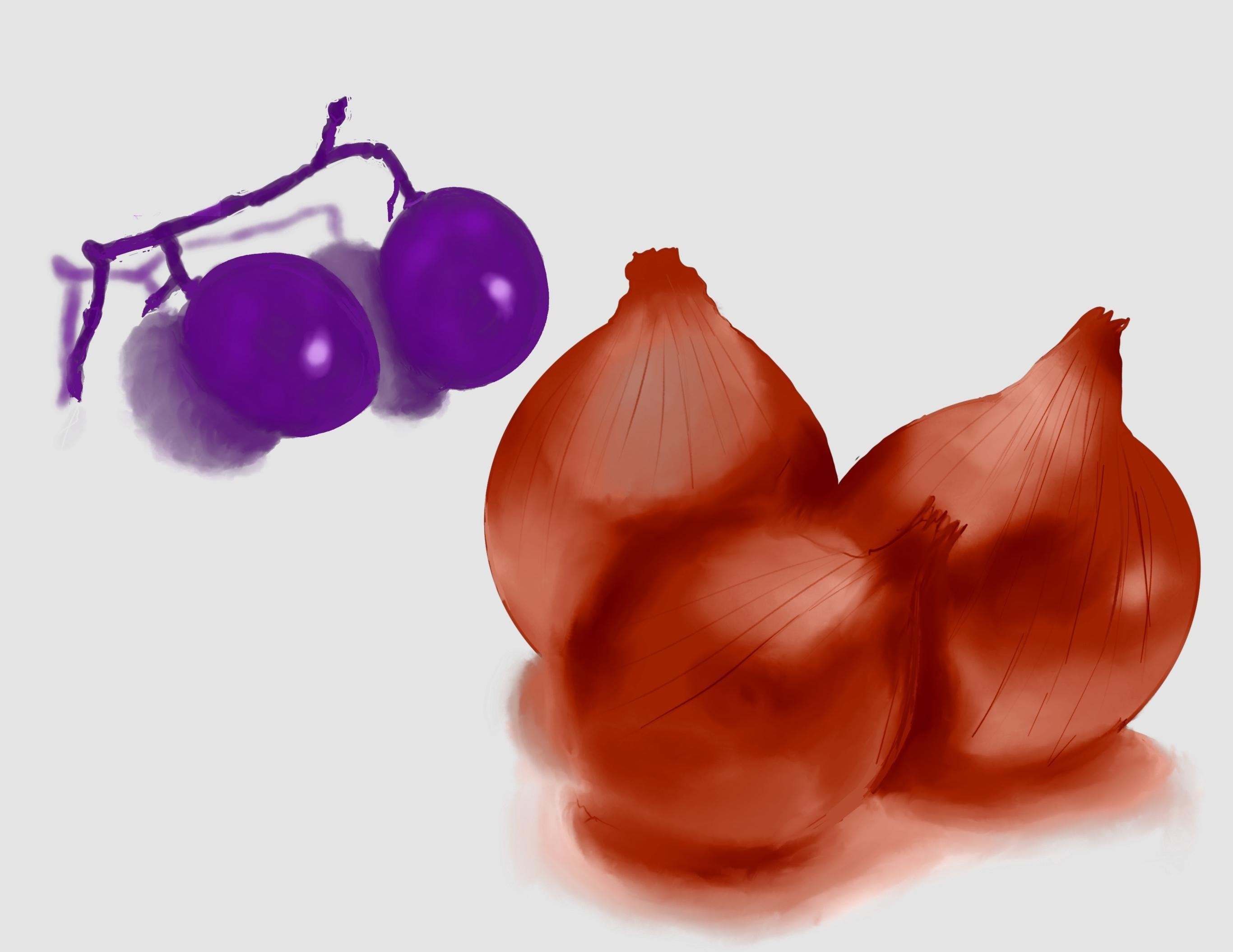 more-projects-from-class-img