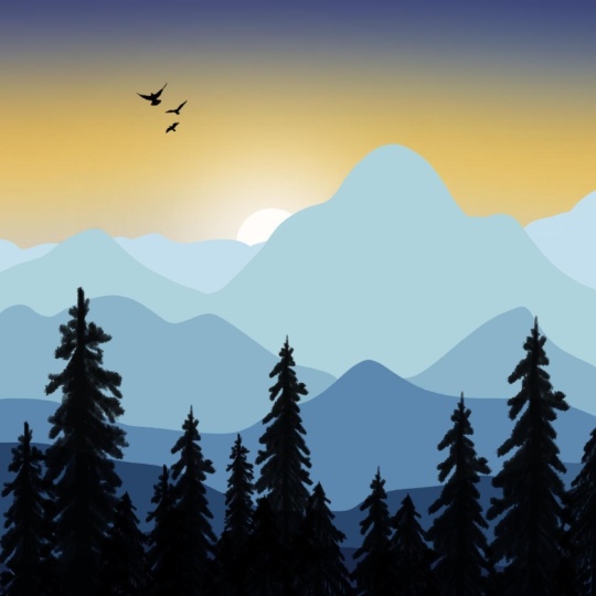 My landscape