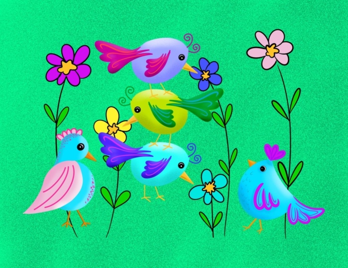 Birds from ……