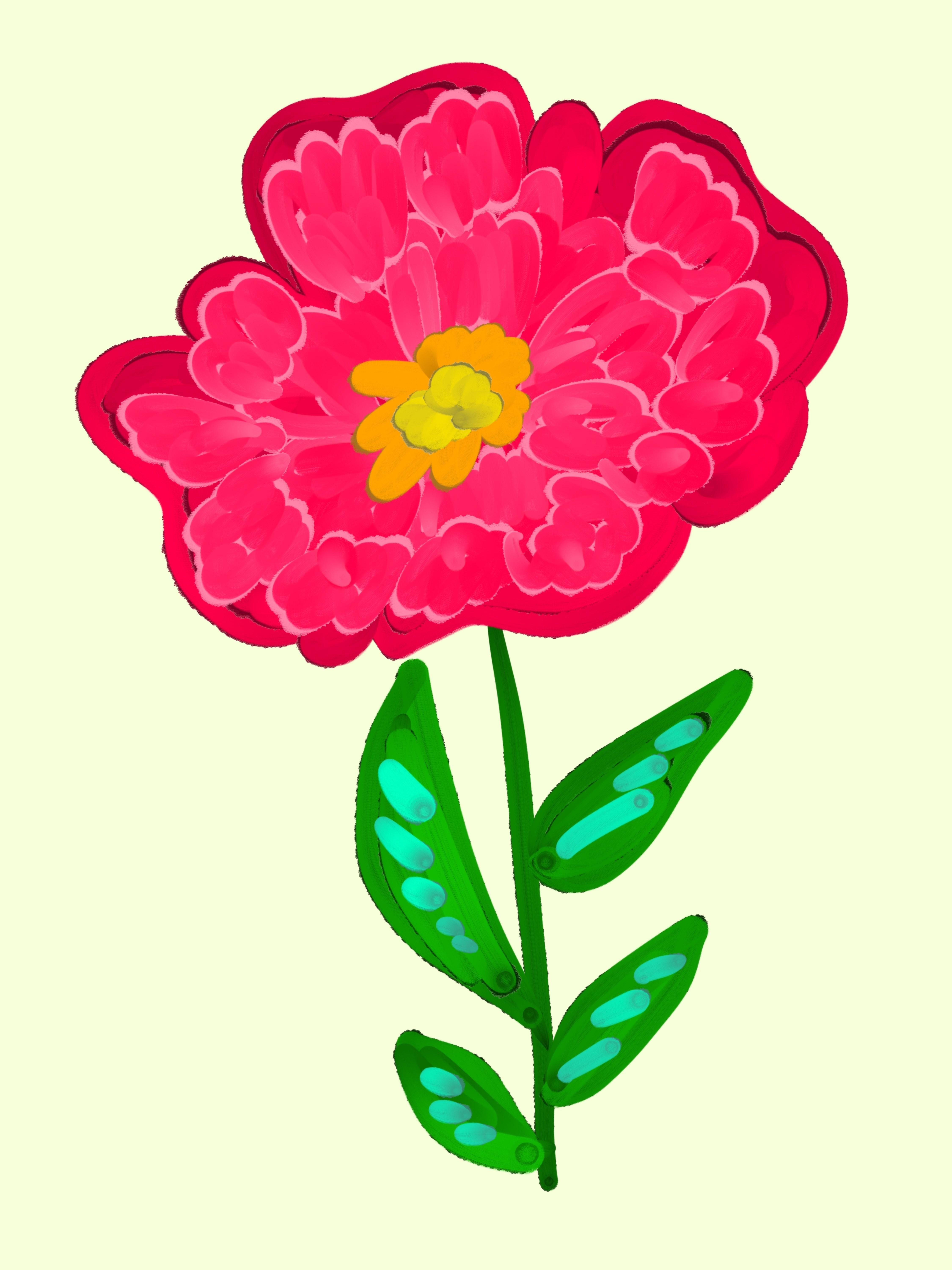 more-projects-from-class-img