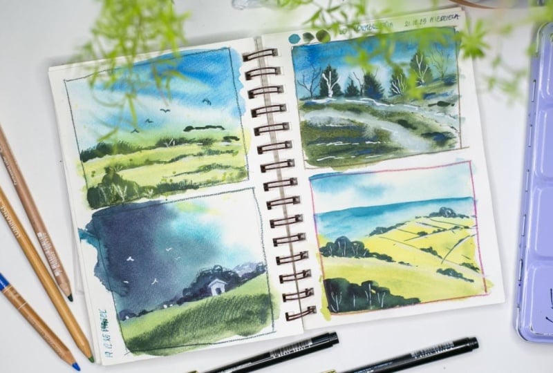 My mini landscapes