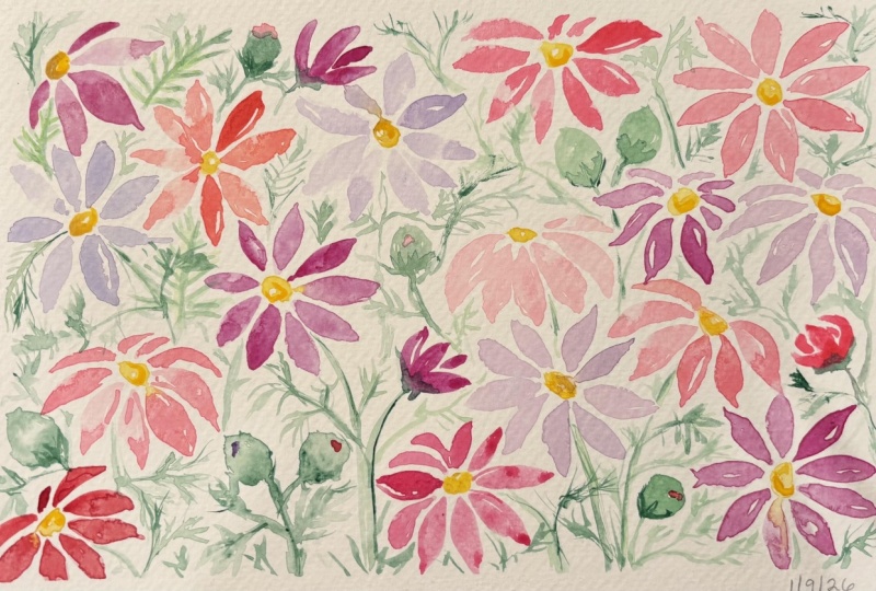 Cosmo Flowers