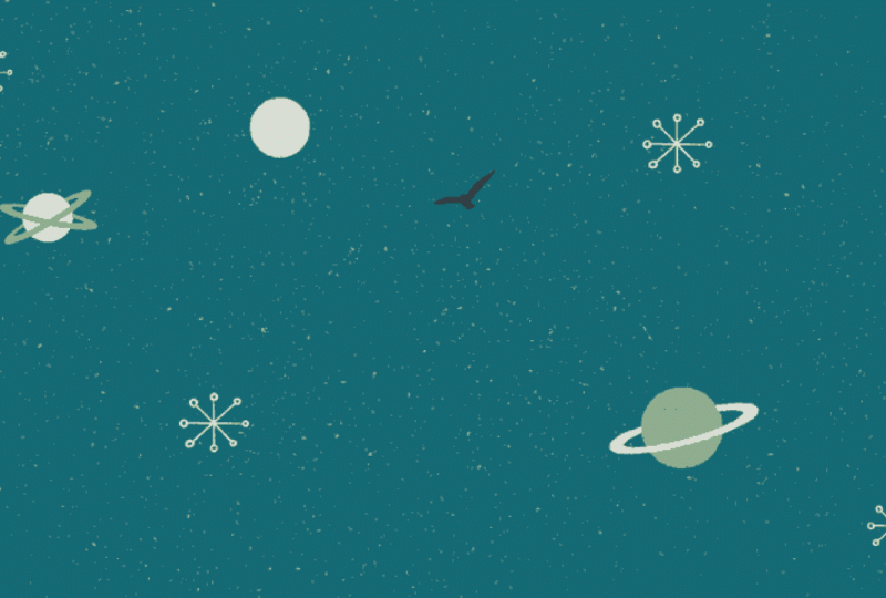 My bird with ufo