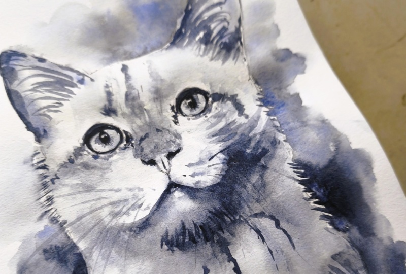 Sketching Animal Portraits: Breaking Down References & Proportions