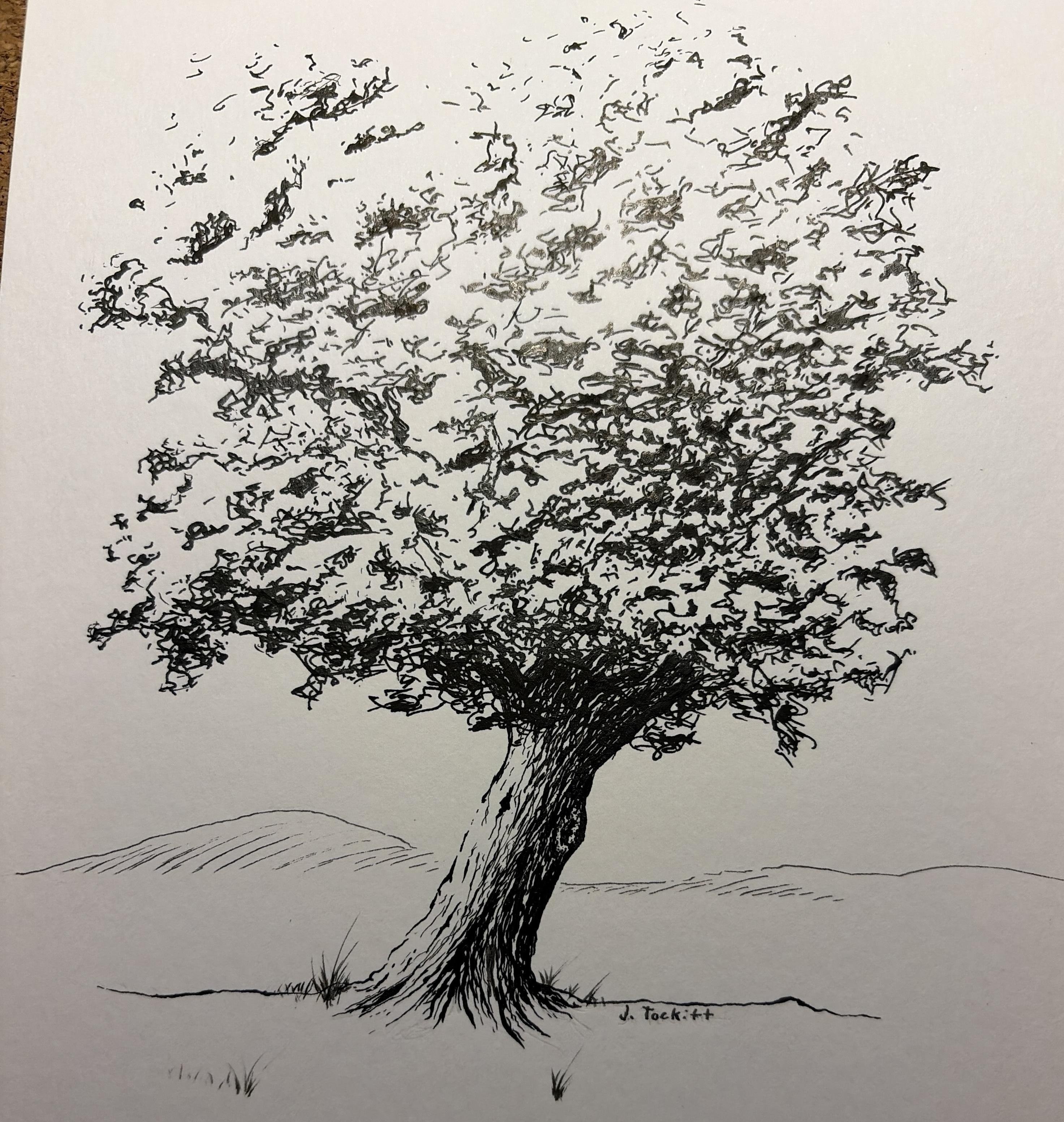 more-projects-from-class-img
