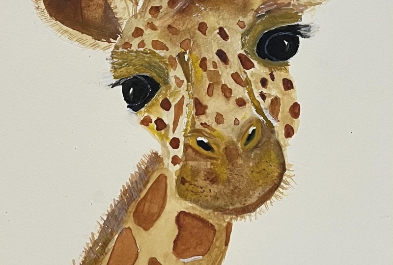 My gentle giraffe