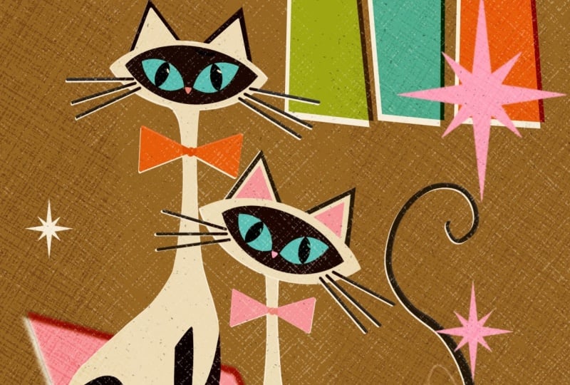 Atomic Cats