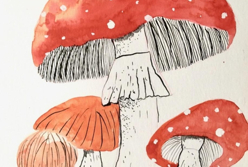 Mushrooms and company