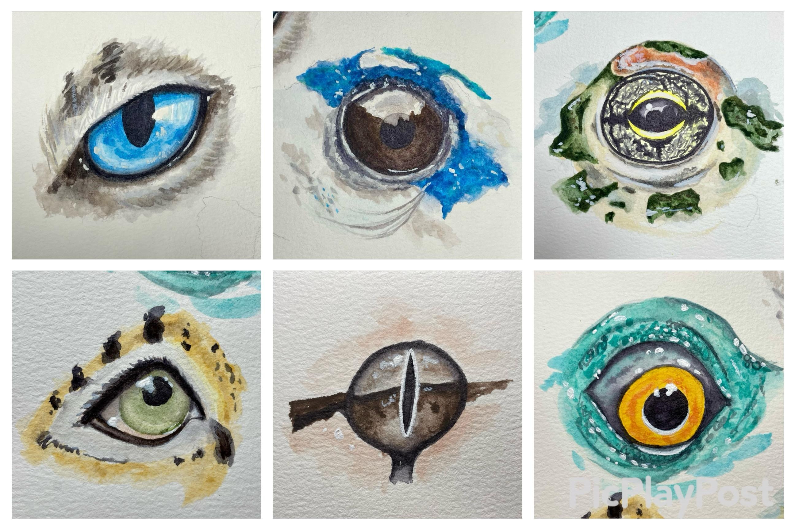 more-projects-from-class-img