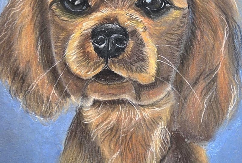 First time using soft pastels