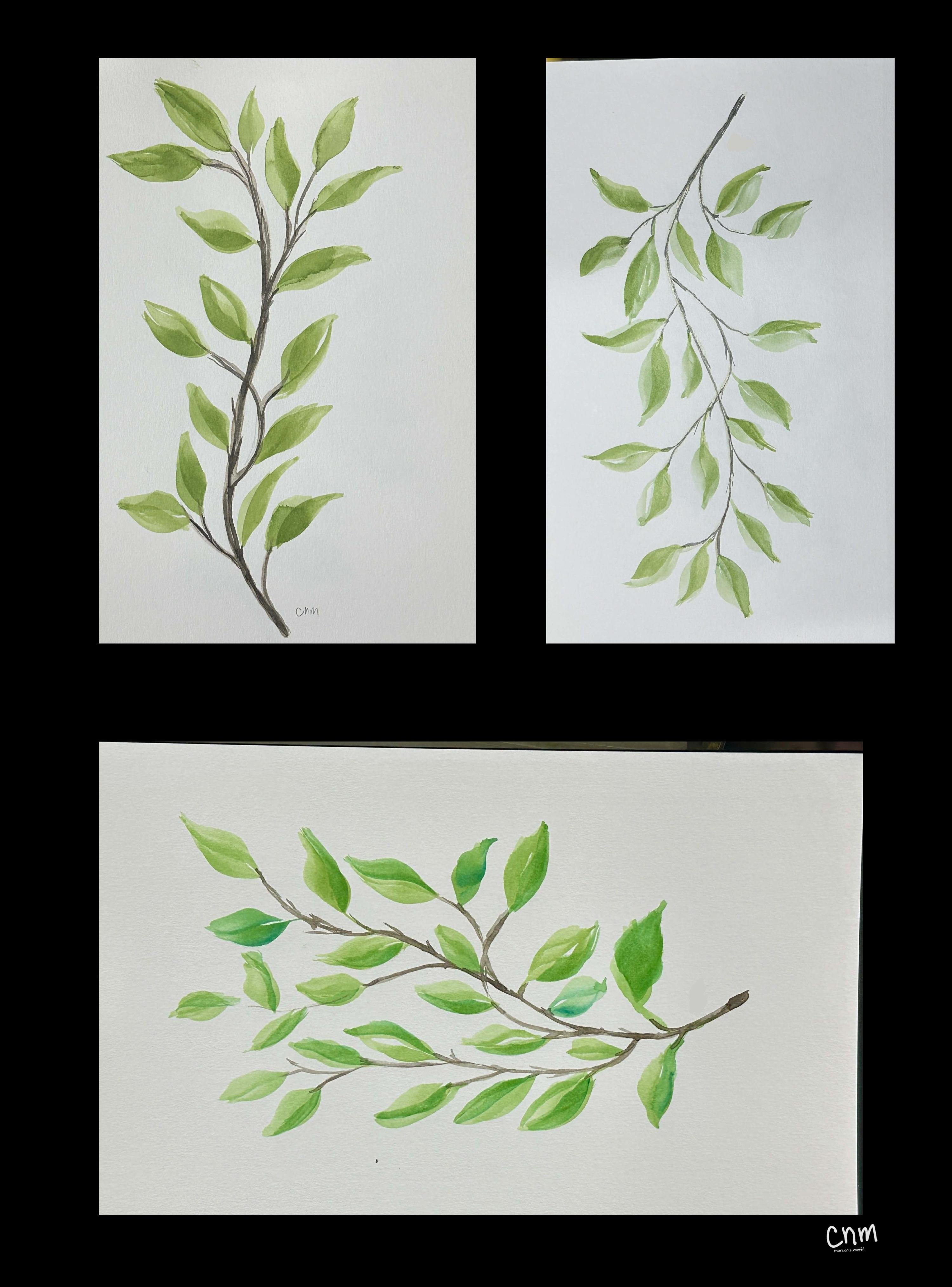 more-projects-from-class-img