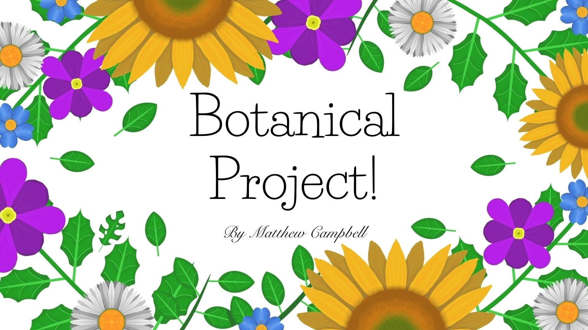 more-projects-from-class-img