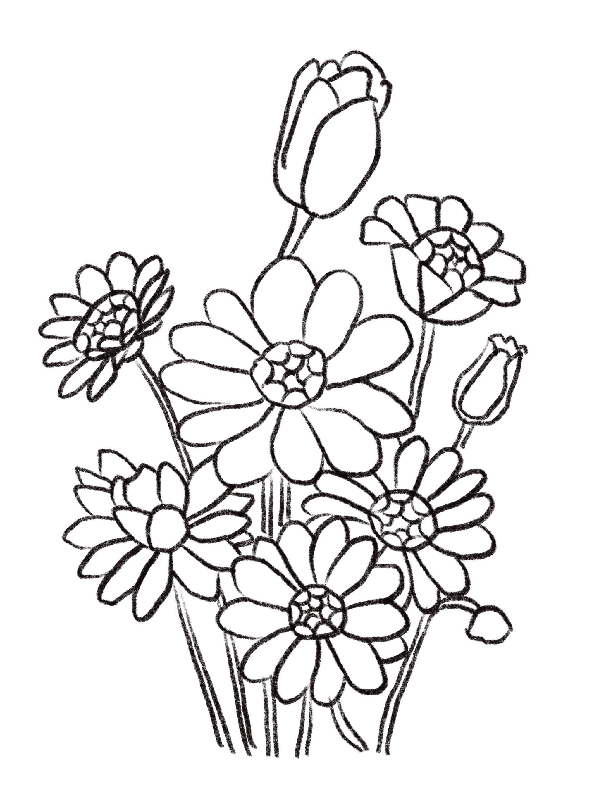 more-projects-from-class-img