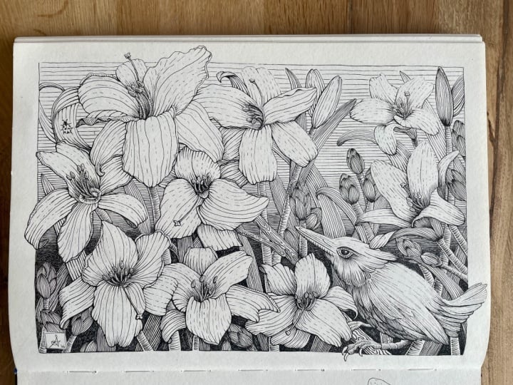 Pen and ink lily garden