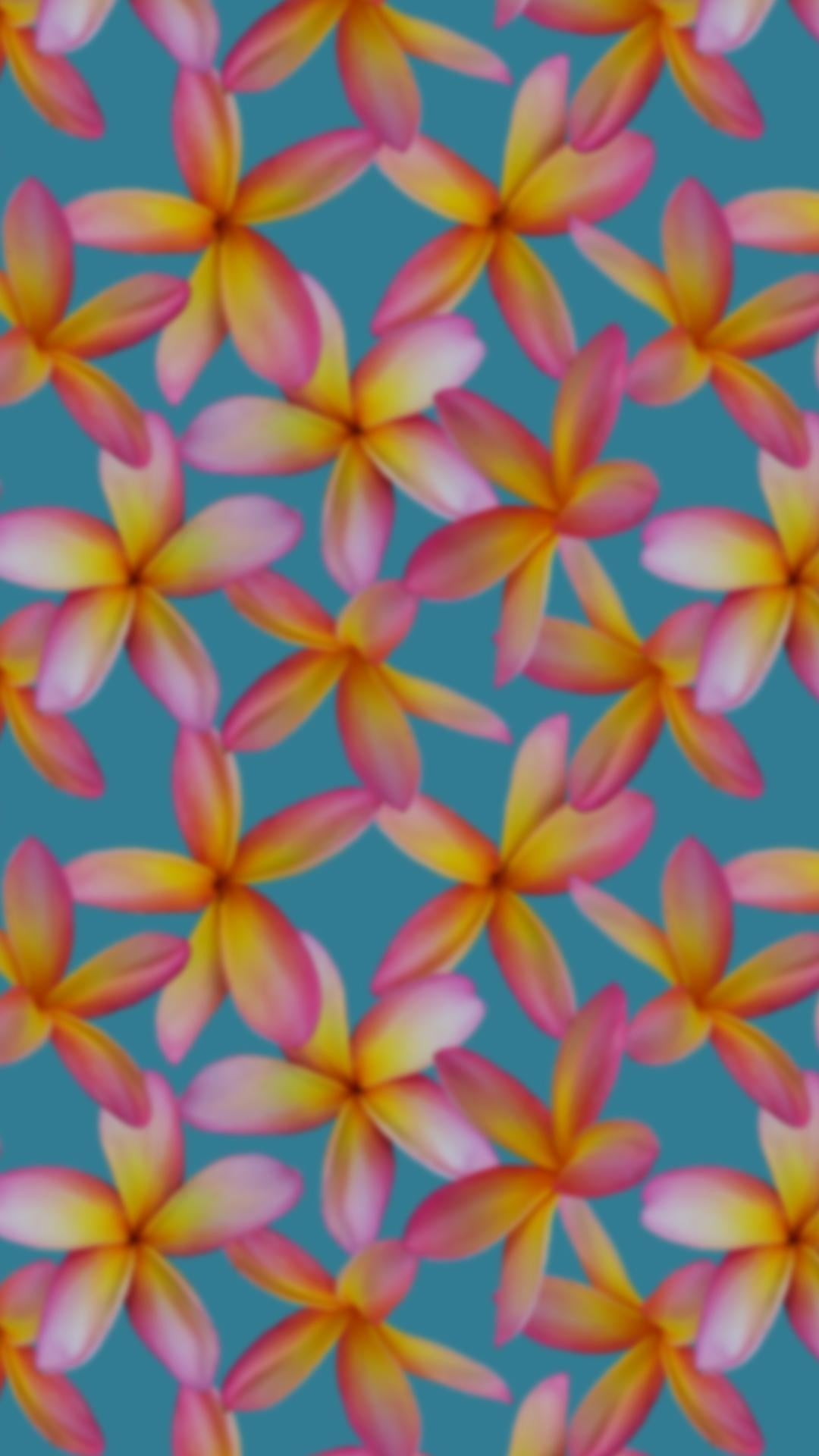 more-projects-from-class-img